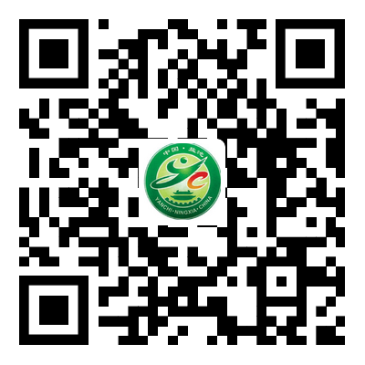 問(wèn)政鹽池